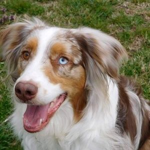 Meet your Posher, Kacy